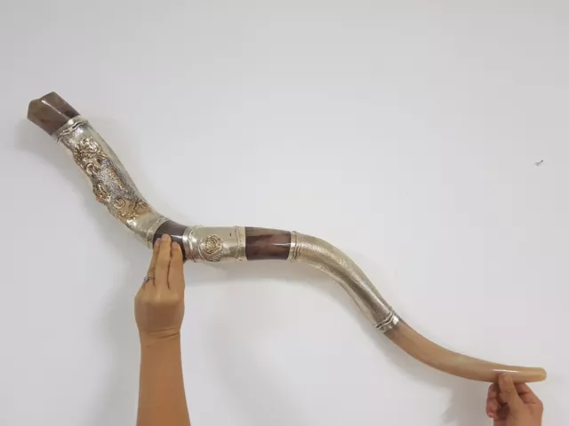 Shofar Amazing Silver plated 40+" Yemenite Horn Kudu Lion Of Judah + BAG Israel