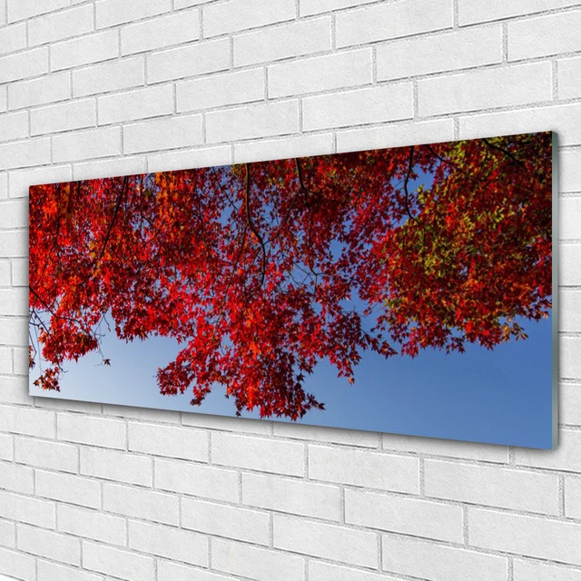 Tableau mural Image sur Plexiglas® 125x50 Floral Pissenlit