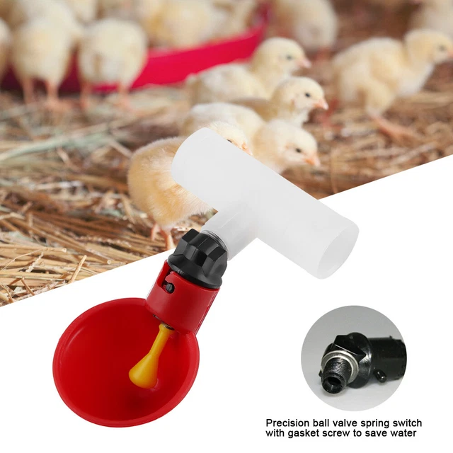 5Pcs Distributore Automatico Di Acqua Potabile Per Uccelli Di Pollo Bevitore DB3