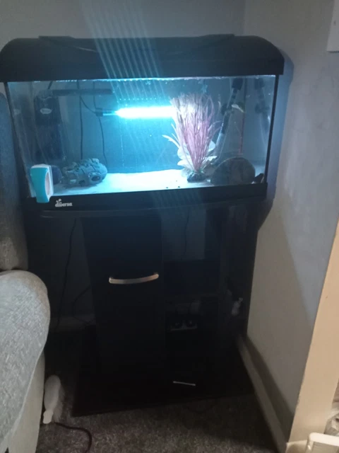 fish tank