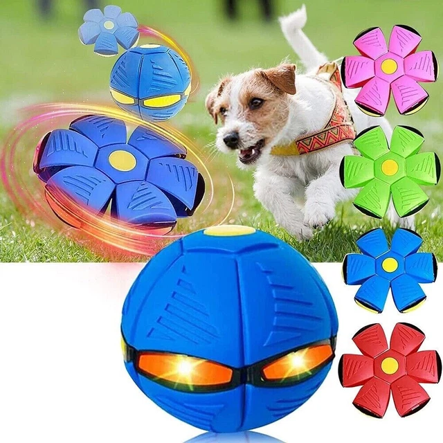 Haustier Spielzeug Hundespielzeug seltsame magische fliegende Untertasse Ball