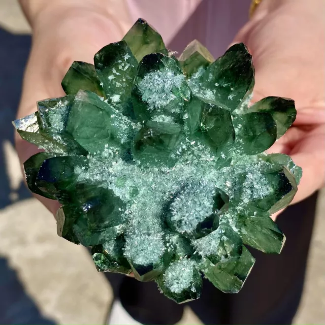 376G  New Find Green Phantom Quartz Crystal Cluster Mineral Specimen Healing