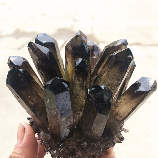 1.33lb New Find Black Phantom Quartz Crystal Cluster Mineral Specimen Healing 6