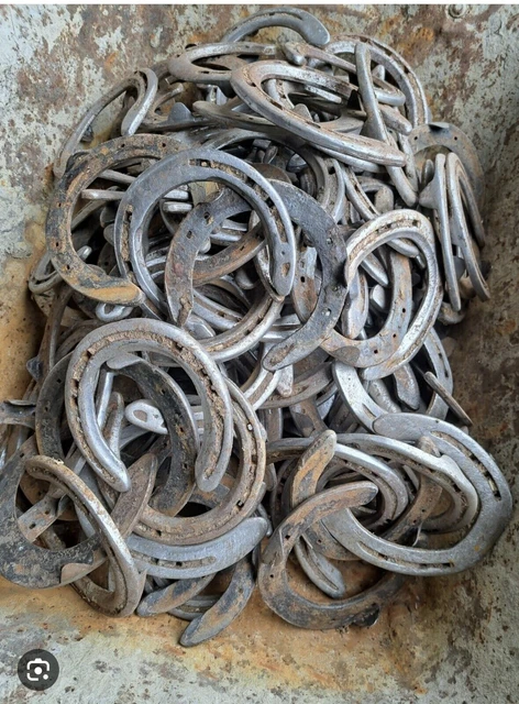 JOB LOT USED Horse Shoes Horseshoes for Blacksmithing Art Firepit
