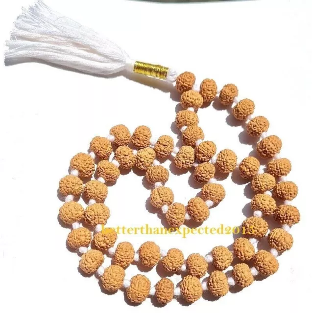 Certifié 7 Mukhi Rudraksha / Seven Face Rudraksh Mala ~ 15-16 MM -53 + 1...