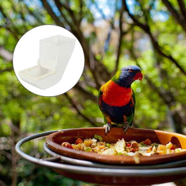2pcs Distributeur de Nourriture Pour Oiseaux Cockatiel Alimentaire Distributeur
