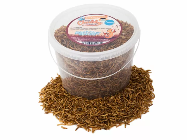 5 Litres Dried Chubby Mealworms Treats Food For Wild Birds