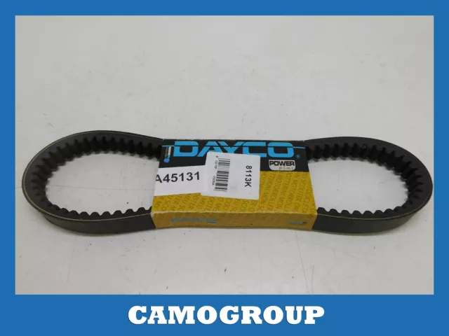 Cinghia Trasmissione Dentata Toothed Transmission Belt Dayco Malaguti Madison