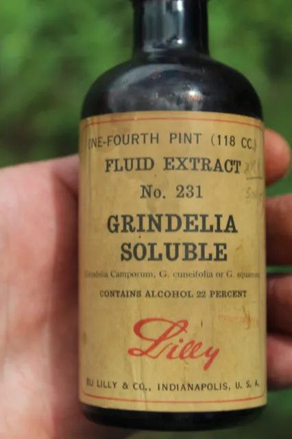 Circa 1900  - FLUID EXTRACT No. 231 GRINDELIA SOLUBLE  ELI LILLY  Very Nice