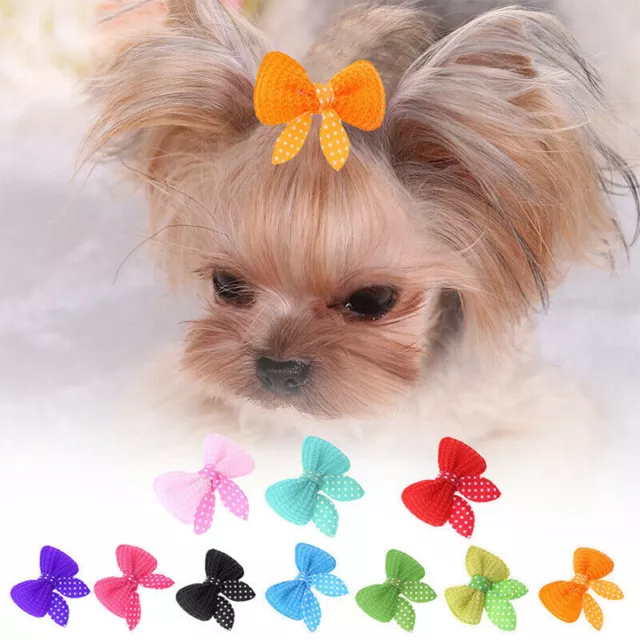 10PCS Lot Small Pet Dog Hair Bows Clips Accessories AU Grooming HOT. L8R2