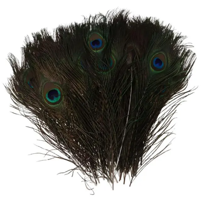 50Pcs Peacock Hair Real Peacock Feathers 25-30cm Feather Natural  Craft Vase