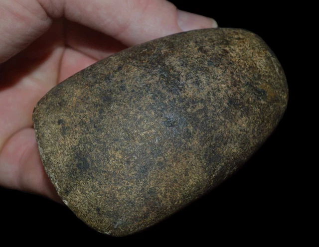 Celt Indiana Authentic Indian Artifact Tool Hardstone Collectible Relic