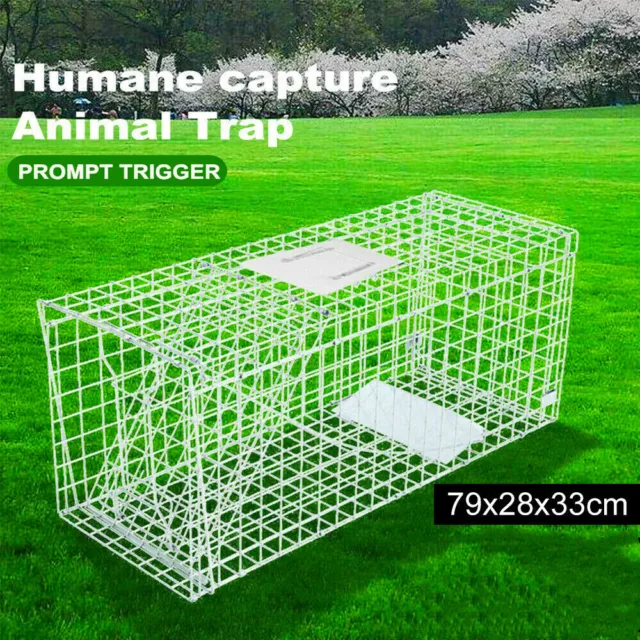 https://www.picclickimg.com/7yAAAOSwFHFhsxoq/Folding-Humane-Animal-Trap-Cage-Possum-Fox-Koala.webp