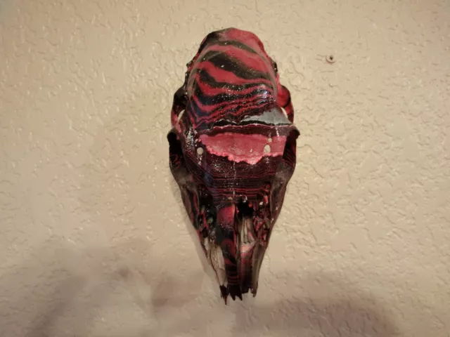 Hand Painted Real Deer Skull from the Black Hills of South Dakota, Red and Black