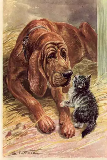 Bloodhound - CUSTOM MATTED - Dog Art Print - German / NEW U