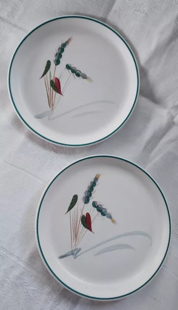 2 X Denby Greenwheat Side Plates 16.5cm