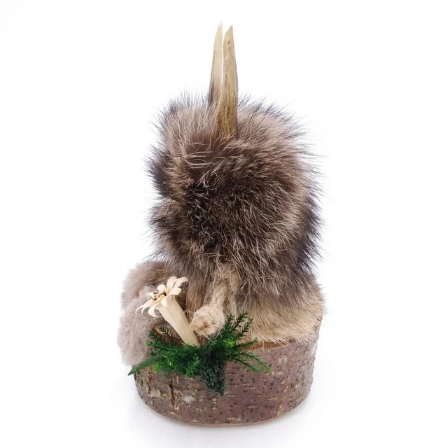 Wolpertinger Wolpi Preparado Taxidermy Mini Con Madera Edelweiss Verde Ojos H 3