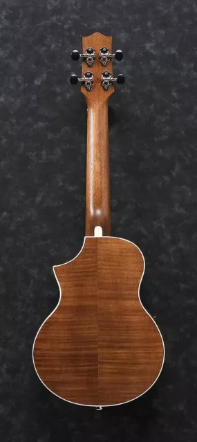 Ibanez UEW15E-OPN Concerto Cutaway ukulele poro aperto naturale 2