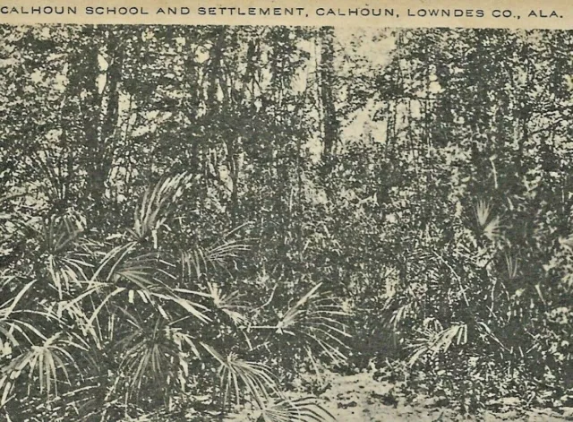 1920 lowndes county AL calhoun school settlement SWAMP African American Alabama