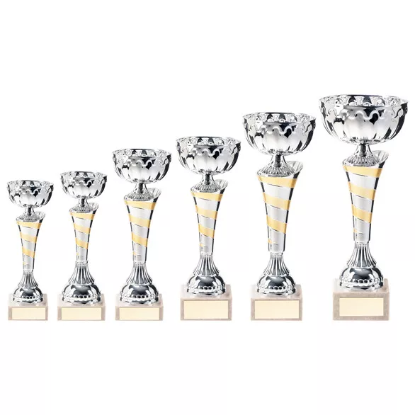 Gold+Silver Trophy Award Cup 6 Sizes Free Engraving