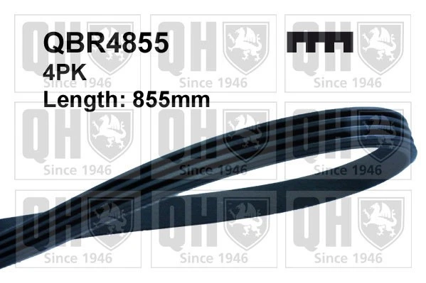 4 RIB MULTI V Drive Belt fits BMW 316 E36