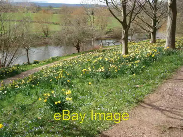 Photo 6x4 The Weir Garden in Spring Canon Bridge The garden is a riot of  c2007