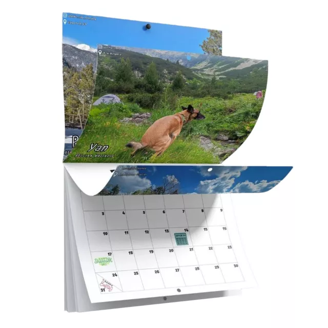 DOG POOPING IN Beautiful Place,Wall Calendar 2024,Funny Prank Gift, 9