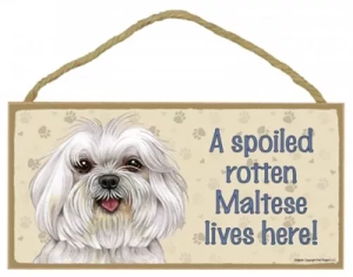 A Spoiled Rotten Maltese lives here! CUTE Dog Sign 5"x10" NEW Wood Plaque 158