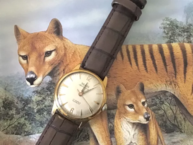 Relide sportsman 2025 watch