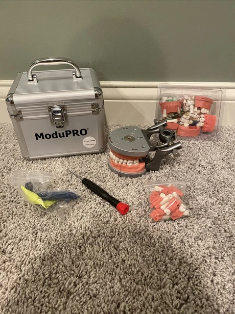 Acadental Modupro typodont MP R220/ Extra Endo Sextant
