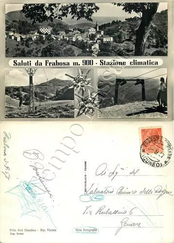 Cartolina Saluti da Frabosa Soprana, vedutine e stelle alpine - Cuneo, 1957
