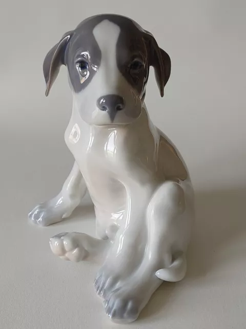 Vintage Royal Copenhagen Pointer Puppy Large Figurine No 259 - Read Description