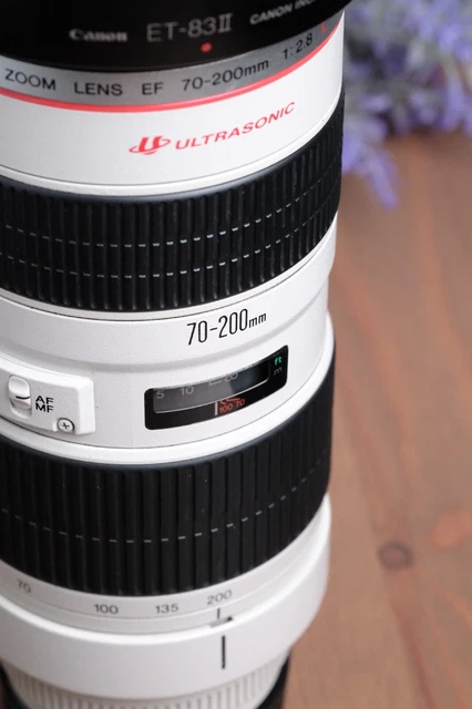 Canon EF 70-200mm f/2.8 L USM Telephoto Zoom Lens with Hood and Tripod Foot