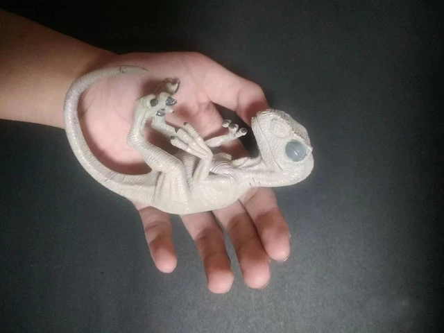 Plastic Raptors VELOCIRAPTOR DINOSAUR EMBRYO Model Unpainted Animal Plastic Figure Mini ...