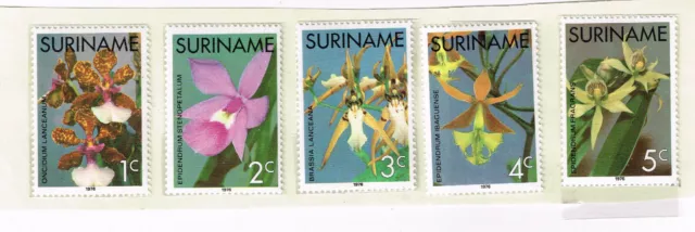 Surinam Nature Flora Flowers Orchids set 1976 MNH