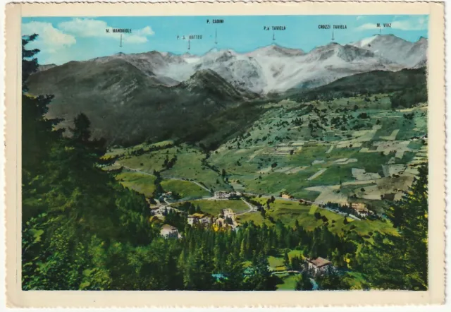 Acidule Di Pejo - Trento - Panorama Degli Alberghi - Viagg. 1966 -93360-