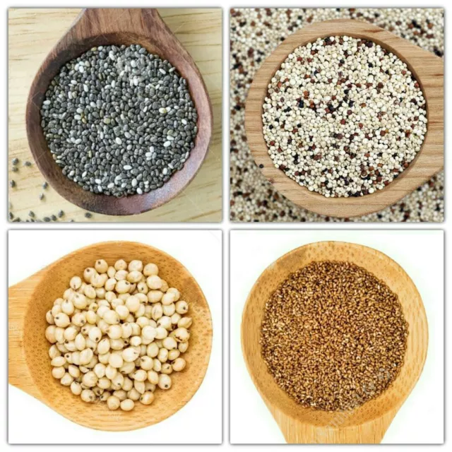Ancient Grain Collection #1 Chia / Quinoa / Sorghum / Teff Seeds, Grow Your Own