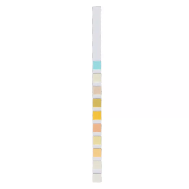 100X Urine Test Strip 10 Parameters Urinalysis Dip-Stick Testing Kit Ketone HOT