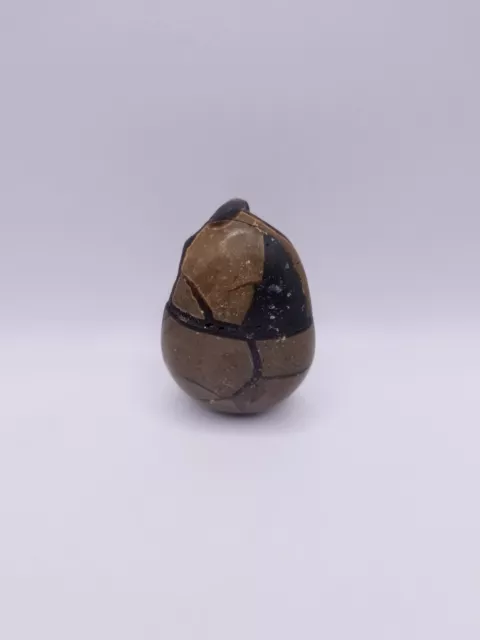 Septarian Egg Geode Nodule - 4.8oz Mini palm stone
