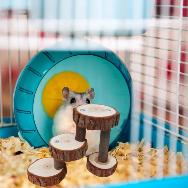 Hamster-spielzeug Naturholz Einfache Installation