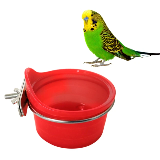 Fournitures pour oiseaux Multifonction Perroquet Mangeoire À Oiseaux Abreuvoir 3
