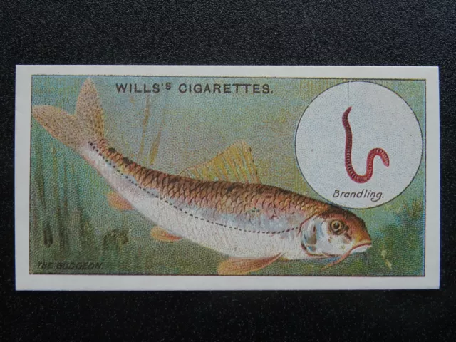 No.5 THE GUDGEON - Fish & Bait REPRO of W.D. & H.O. Wills Ltd 1910