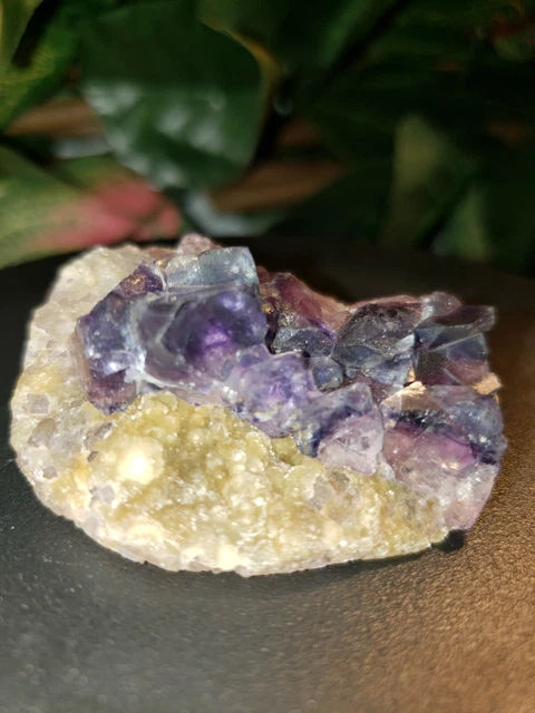 2" stone Video Mongolian Purple Phantom Cube Fluorite Quartz Crystal Specimen