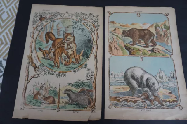 sept planches couleurs ancien abécédaire vers 1900 1920 animaux