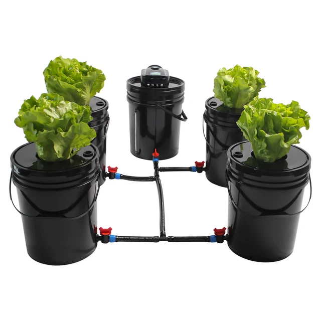 DEEP WATER CULTURE DWC Hydroponic Grow System Kit,5 Gallon Round Bucket