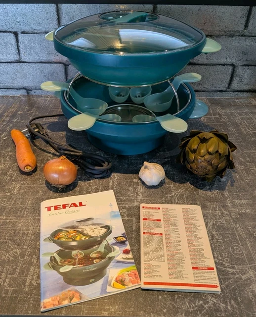 Tefal Raclette et Pierrade, Appareil à