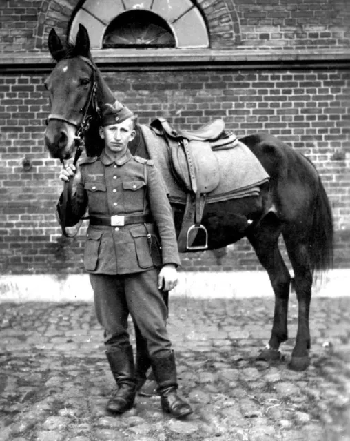 B&W WW2 Photo WWII German Soldier with Horse World War Two Wehrmacht Germany