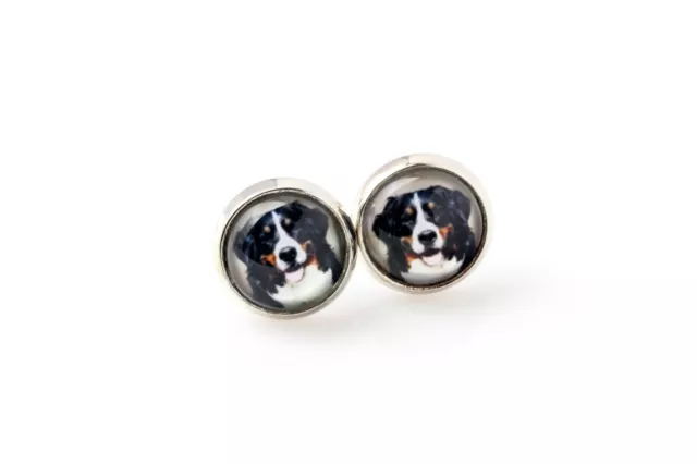 Bernese Mountain Dog. Pet in your ear. Earrings. Photojewelry. Handmade. USA 2