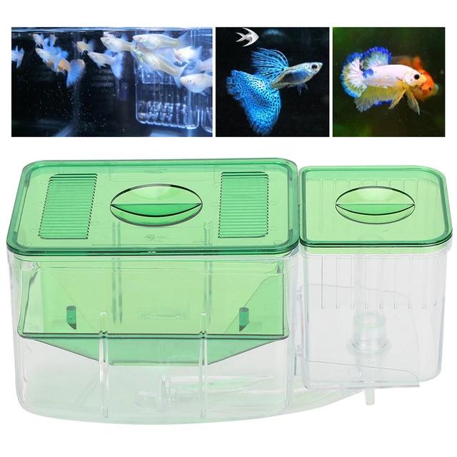 Aquarium Fish Tanks Guppy Fish Breeder Breeding Breeder Baby Fry Box Hatchery BB