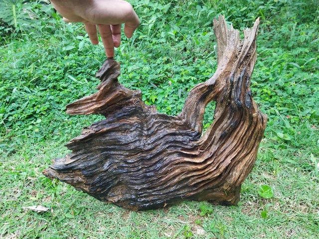 Driftwood AquariumFish Tank Landscape Natural Large Wood Reptile Trunk Decor
